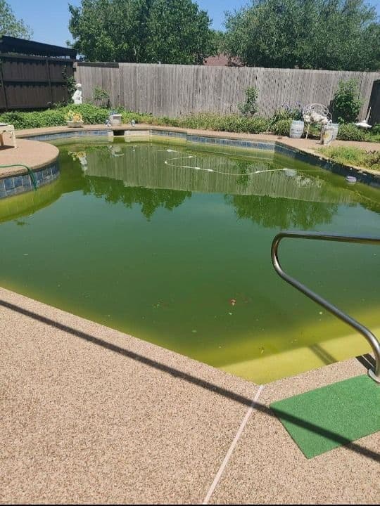 Pool before cleaning service